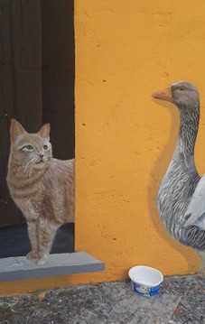 20220524_173219.jpg