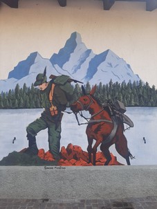 simone alpini.jpg